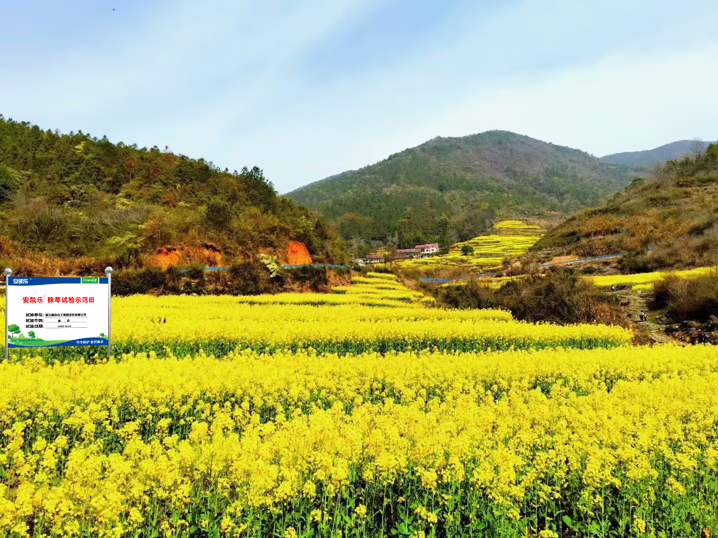 16794711406127336dKr.png 16794711406127336dKr.png