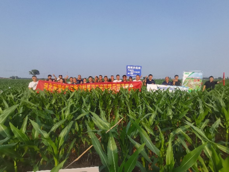 17570330634000968dGa.png 图片1.png