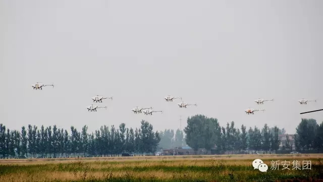 1464656859350163w9sp.jpg 640.webp (2).jpg