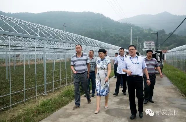 1474182713876169q4jC.jpg 640.webp.jpg